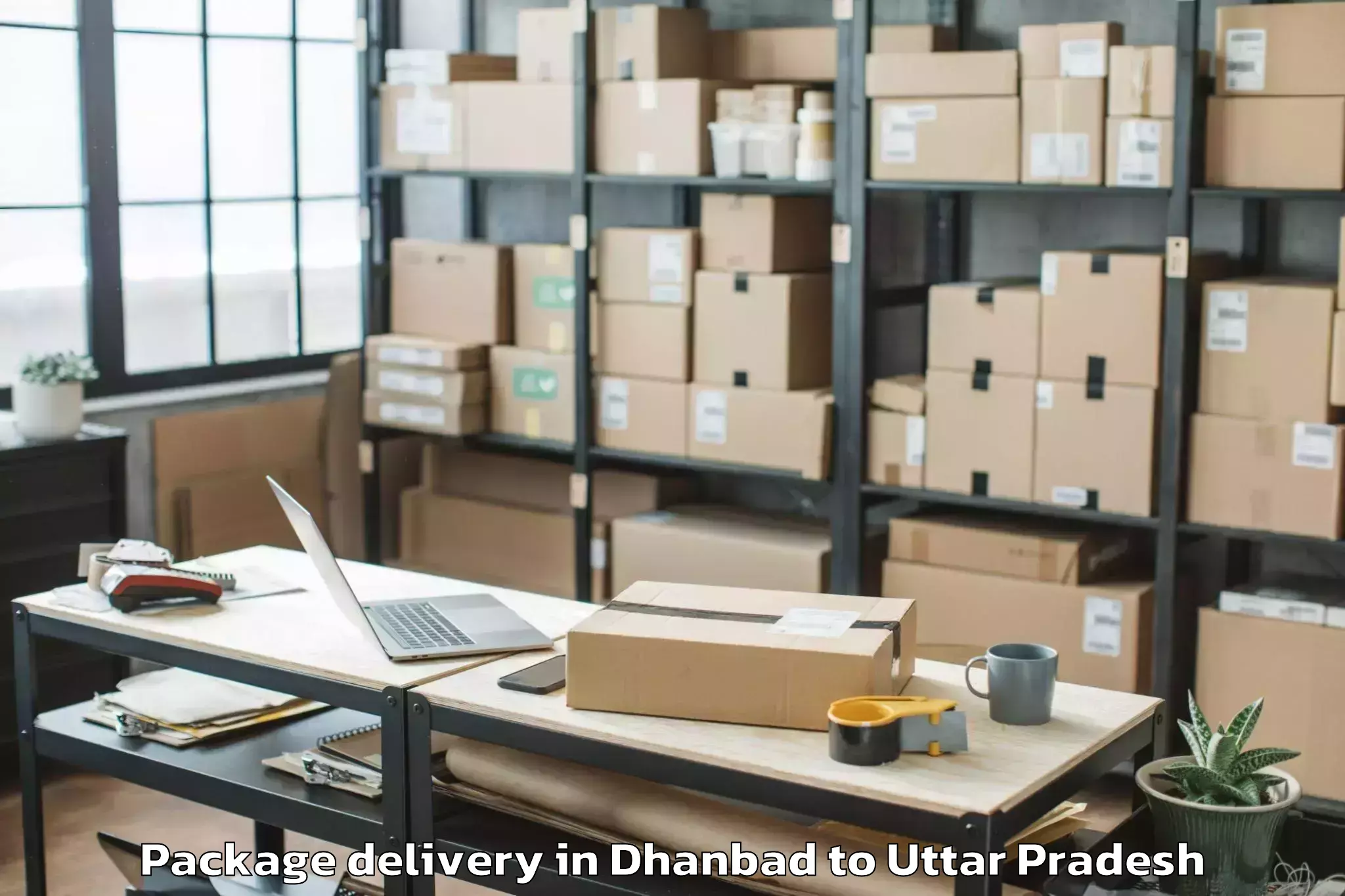 Easy Dhanbad to Mahavan Package Delivery Booking